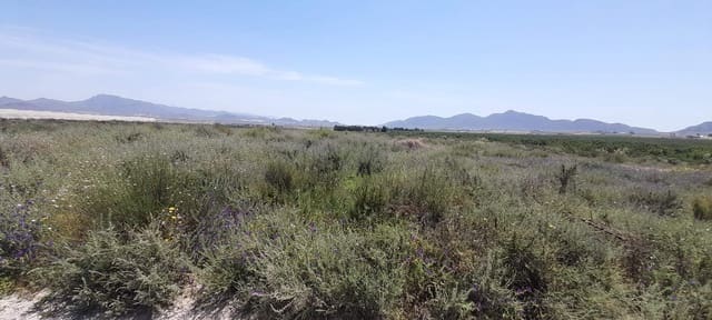Undeveloped Land for sale in La Majada, Mazarrón - € 160,000 (Ref: 7094060)