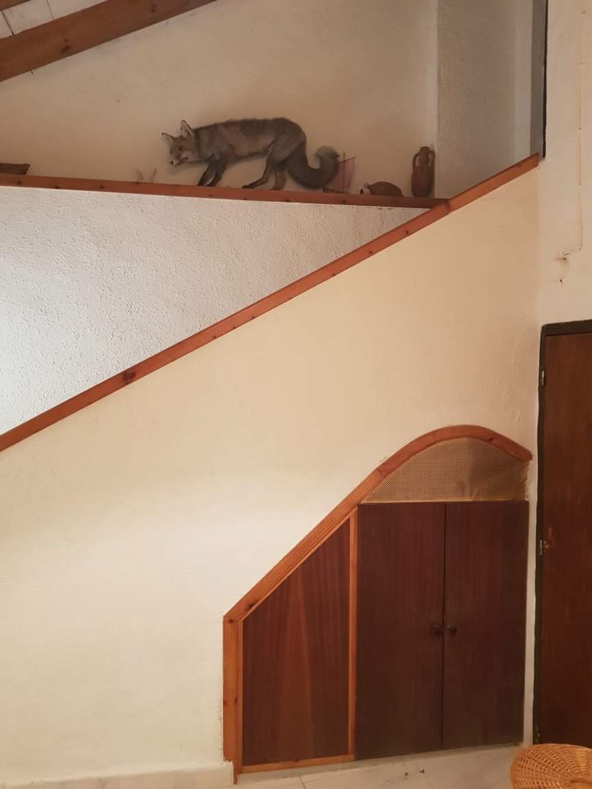 3 camera da letto Finca/Casa di Campagna in vendita in Las Palas con garage - 199.900 € (Rif: 7094064)