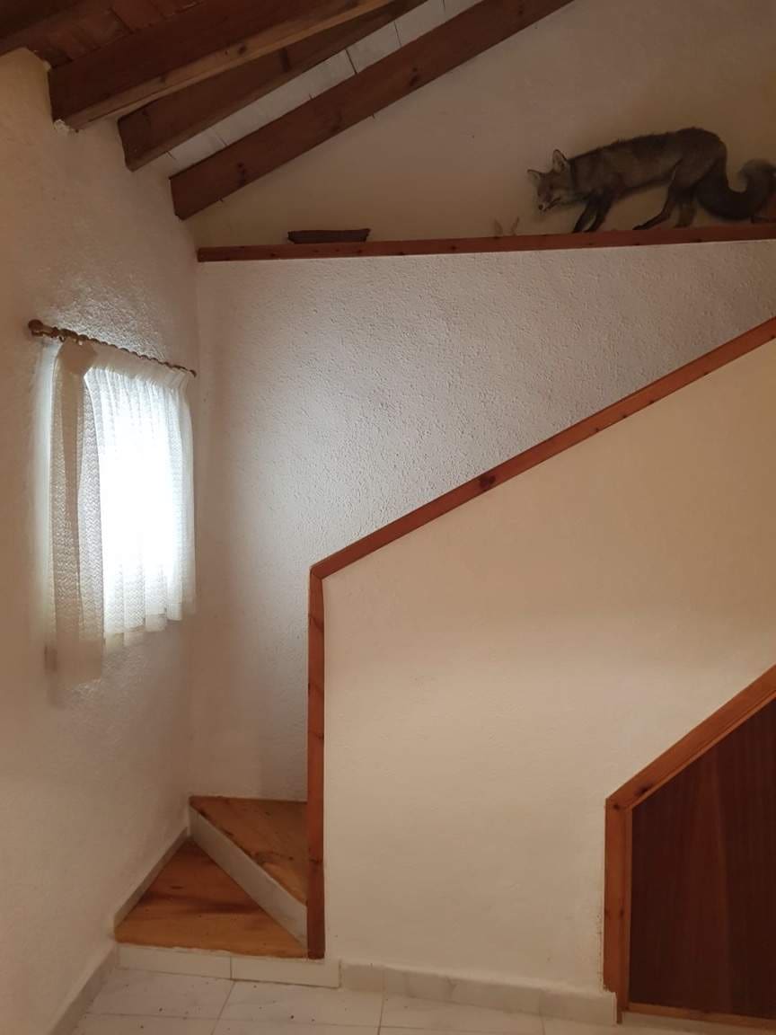 3 camera da letto Finca/Casa di Campagna in vendita in Las Palas con garage - 199.900 € (Rif: 7094064)