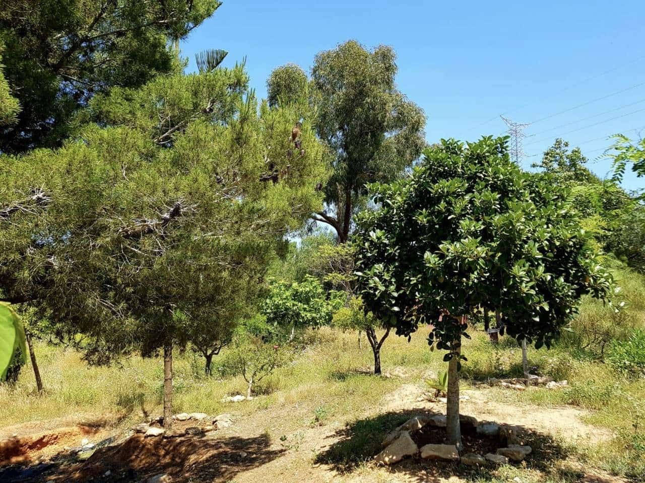 3 camera da letto Finca/Casa di Campagna in vendita in Las Palas con garage - 199.900 € (Rif: 7094064)