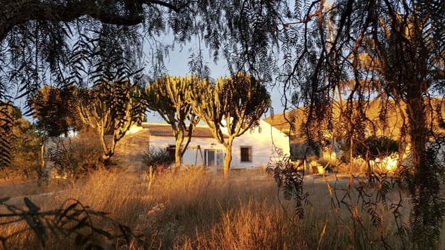 3 camera da letto Finca/Casa di Campagna in vendita in Las Palas, Fuente Alamo de Murcia con garage - 199.900 € (Rif: 7094064)