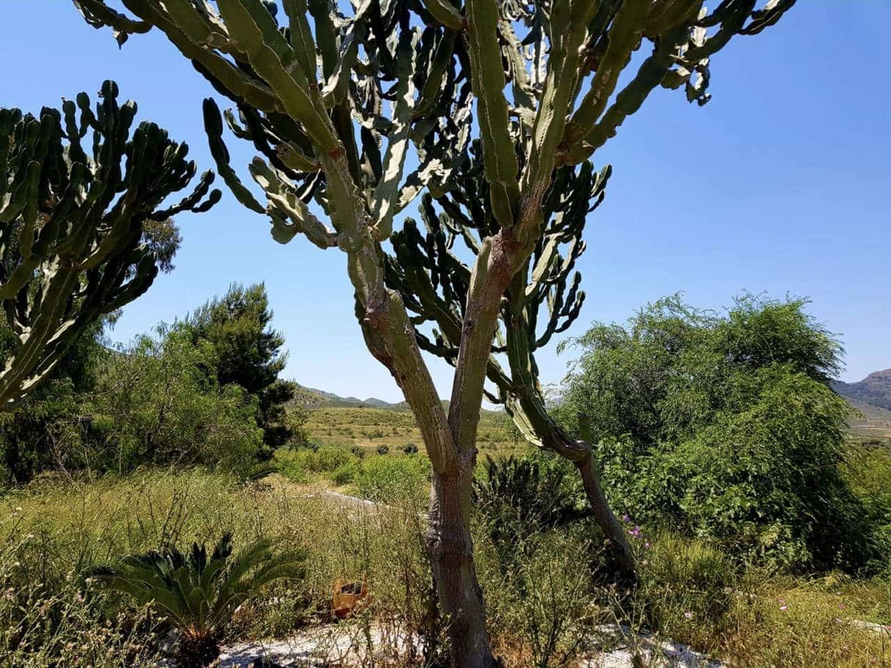 3 camera da letto Finca/Casa di Campagna in vendita in Las Palas con garage - 199.900 € (Rif: 7094064)