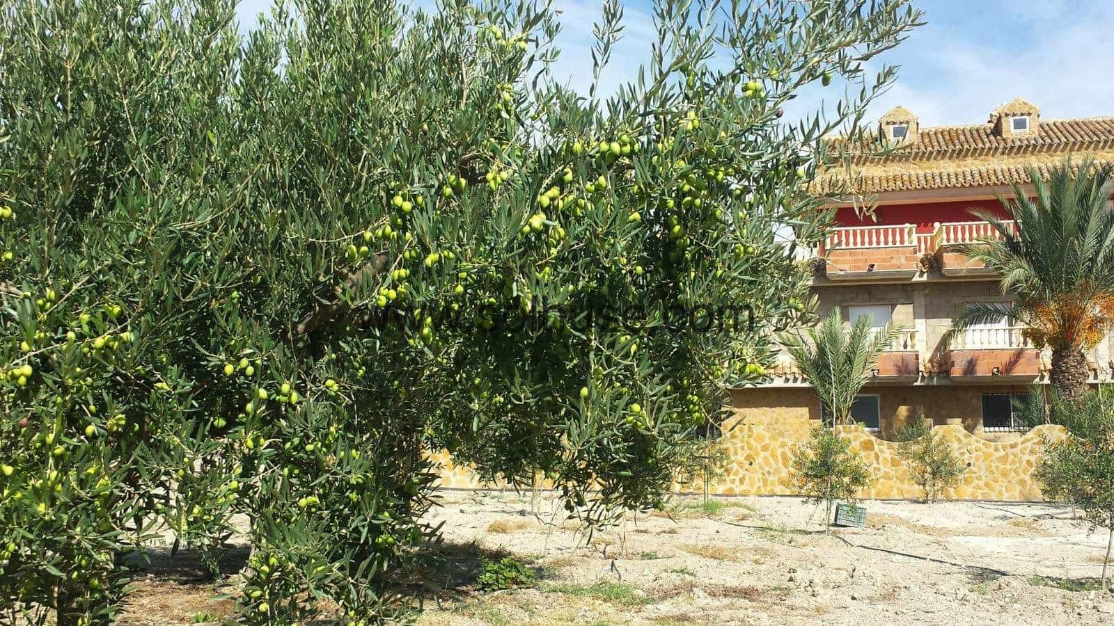 5 soveværelse Villa til salg i Atalaya med swimmingpool garage - € 589.000 (Ref: 7799016)