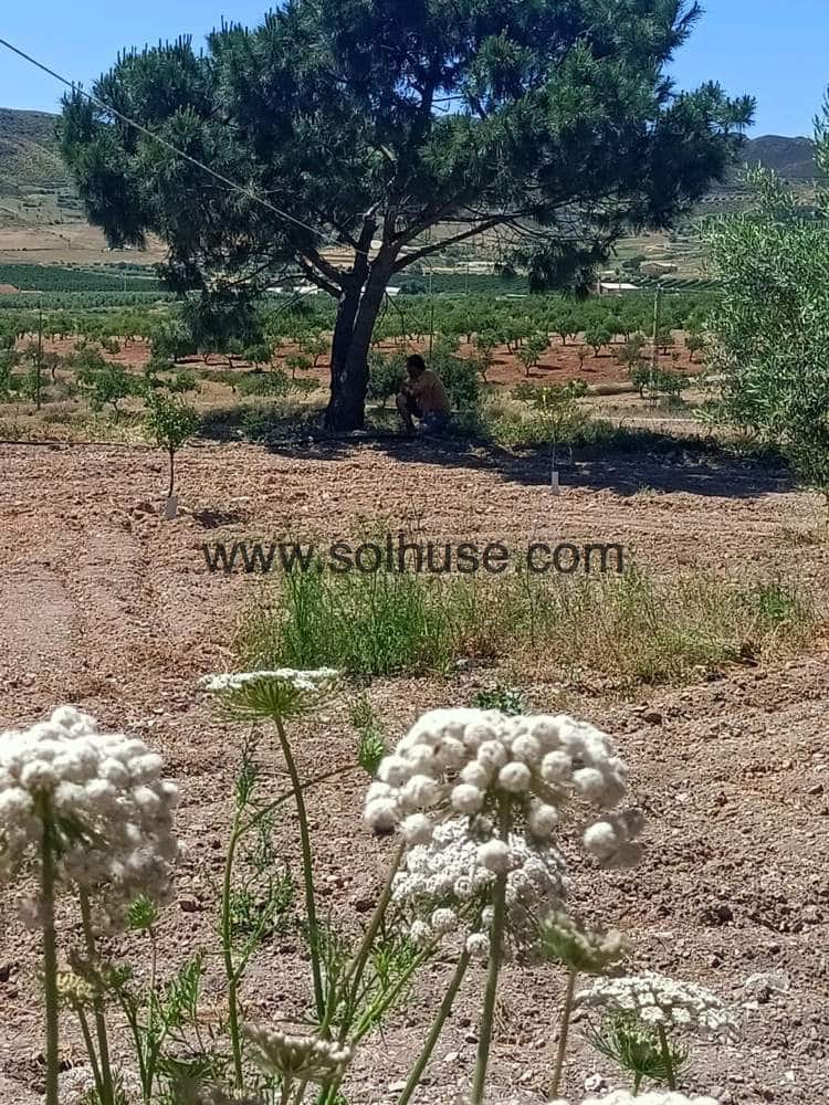 4 slaapkamer Finca/Landhuis te koop in Morata - € 299.900 (Ref: 7799017)