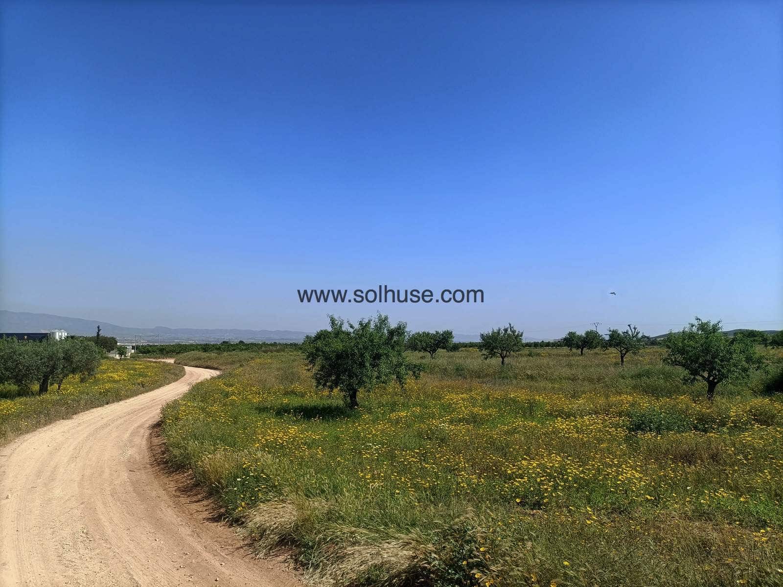 2 soveværelse Finca/Landehus til salg i La Manchica - € 125.000 (Ref: 7811425)