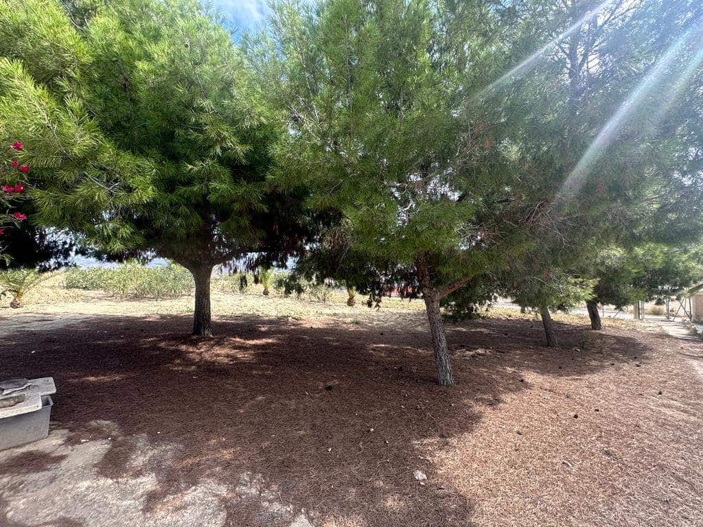 4 sypialnia Finka/Dom wiejski na sprzedaż w Leiva - 535 000 € (Ref: 7893395)