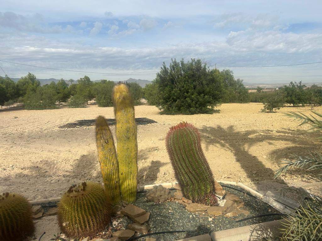 4 sypialnia Finka/Dom wiejski na sprzedaż w Leiva - 535 000 € (Ref: 7893395)