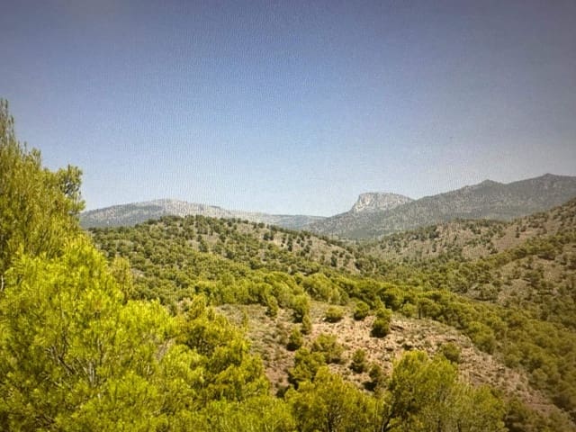 Undeveloped Land for sale in Aledo - € 39,000 (Ref: 8202902)