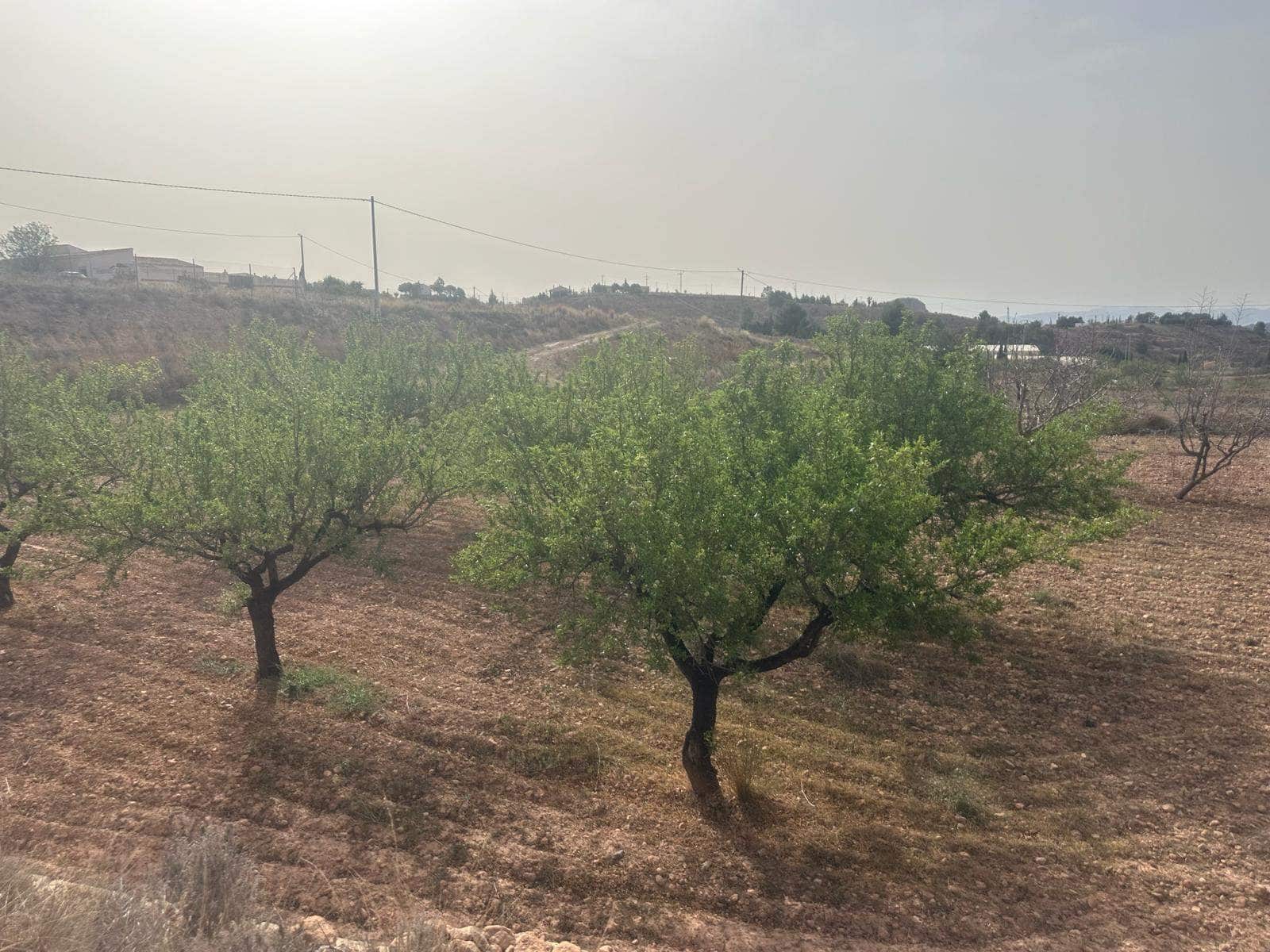 2 soveværelse Finca/Landehus til salg i Aledo - € 159.900 (Ref: 8206277)