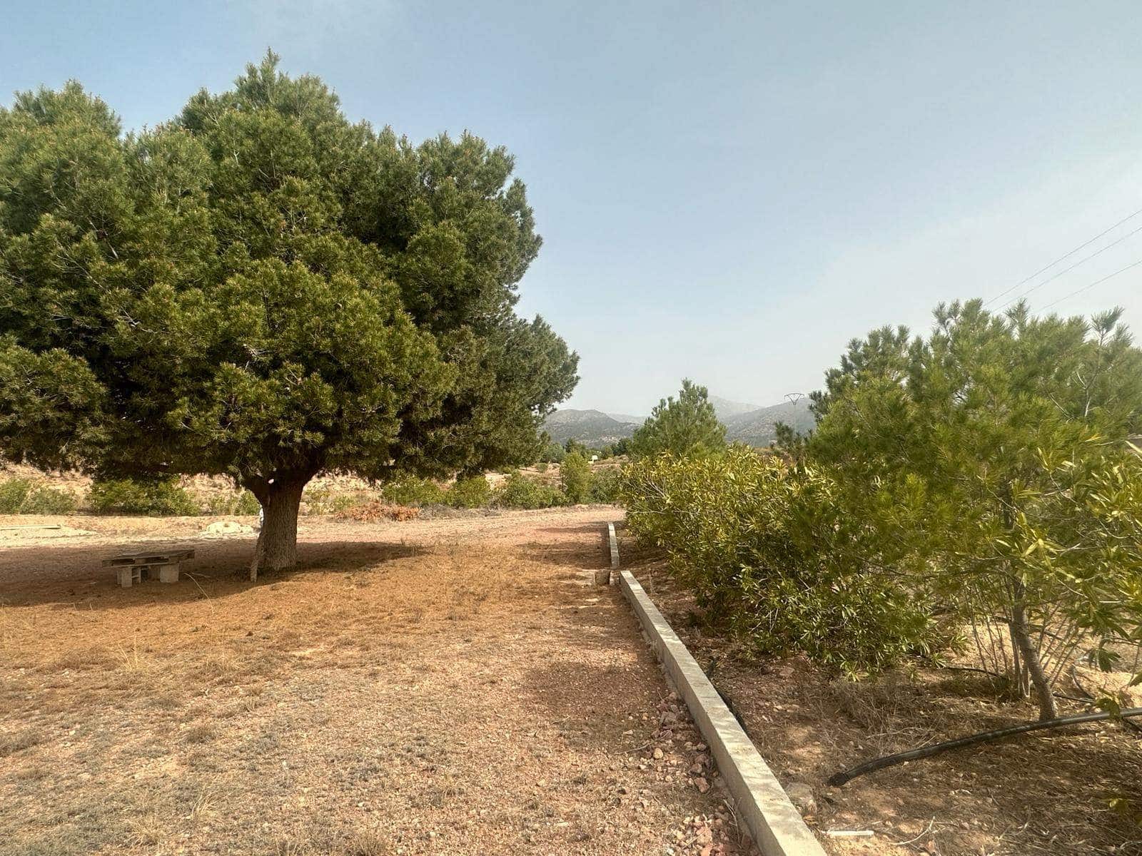 2 soveværelse Finca/Landehus til salg i Aledo - € 159.900 (Ref: 8206277)