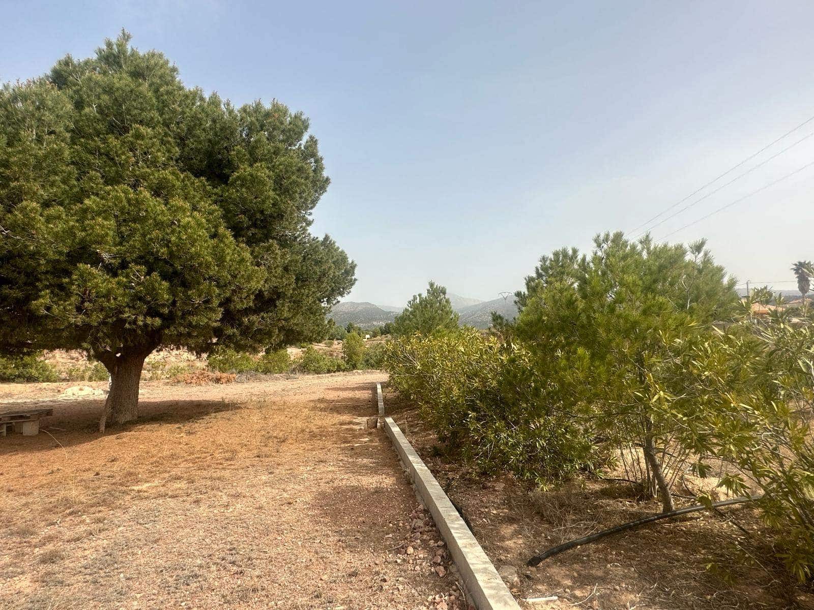 2 soveværelse Finca/Landehus til salg i Aledo - € 159.900 (Ref: 8206277)