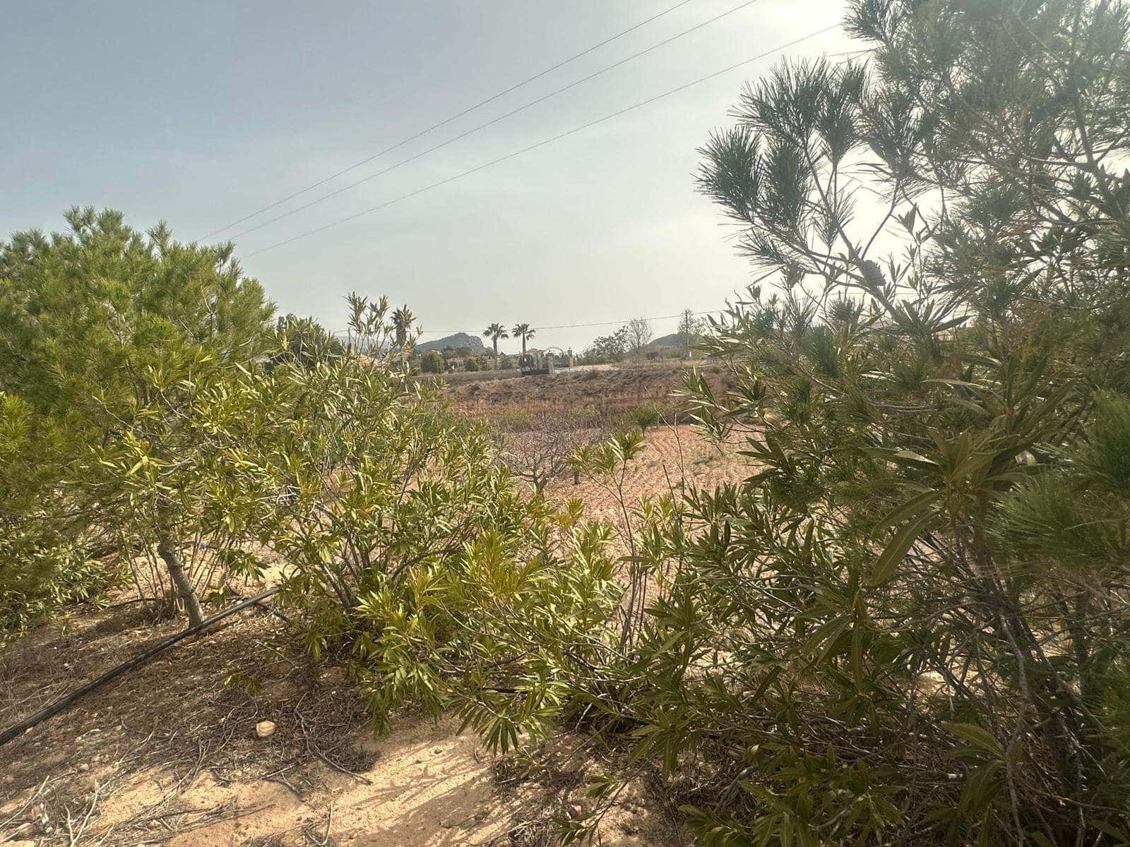 2 soveværelse Finca/Landehus til salg i Aledo - € 159.900 (Ref: 8206277)