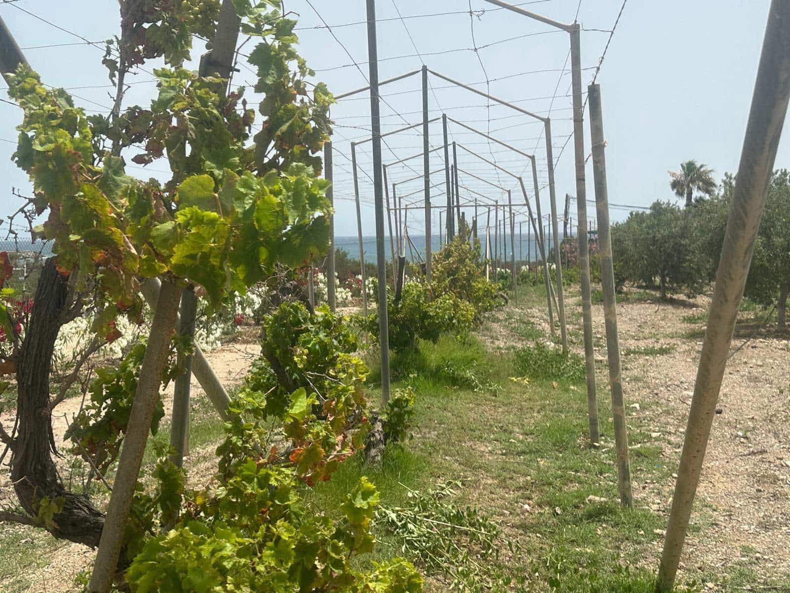 8 soveværelse Finca/Landehus til salg i Aguilas - € 950.000 (Ref: 8473990)