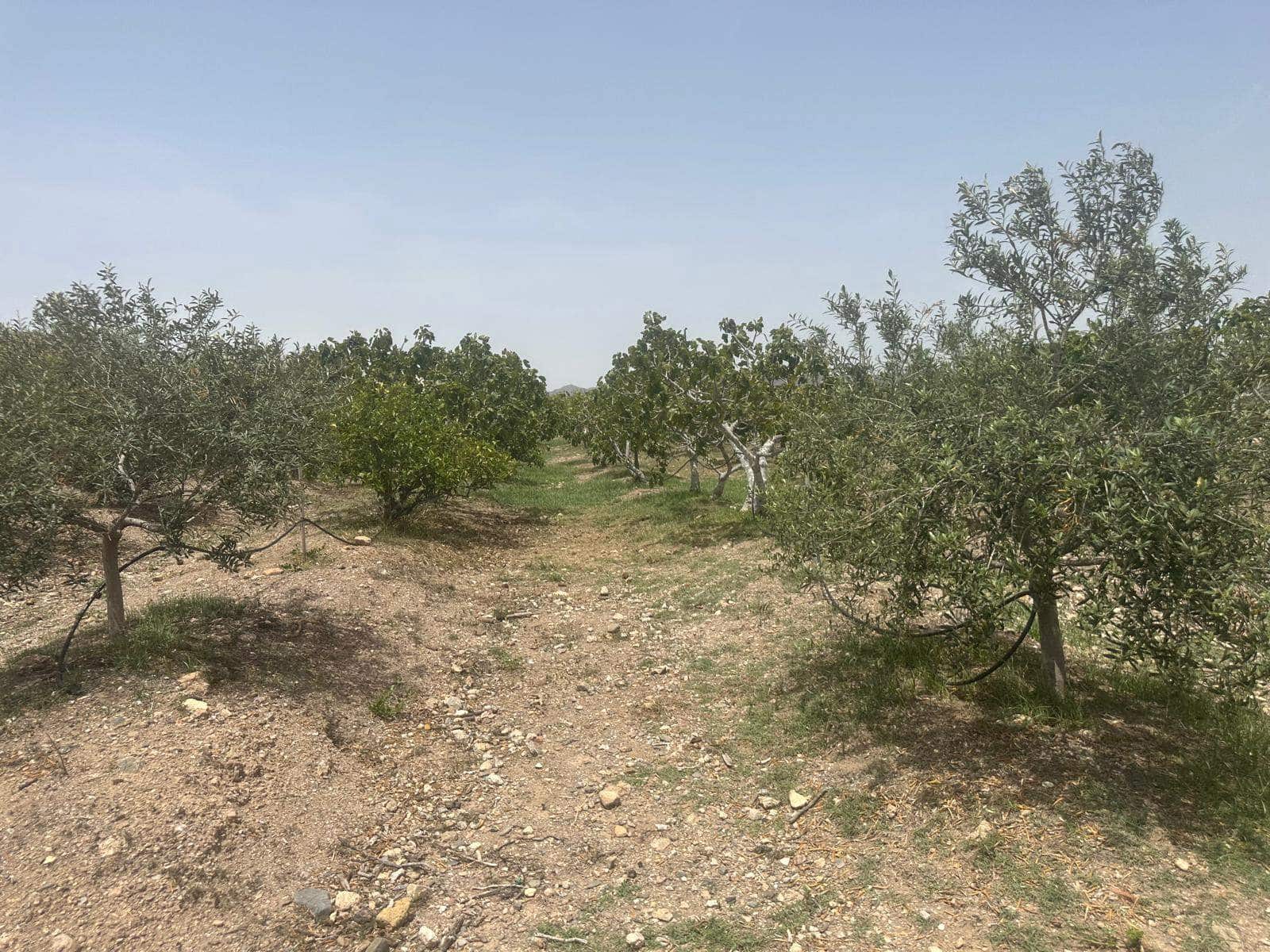 8 soveværelse Finca/Landehus til salg i Aguilas - € 950.000 (Ref: 8473990)