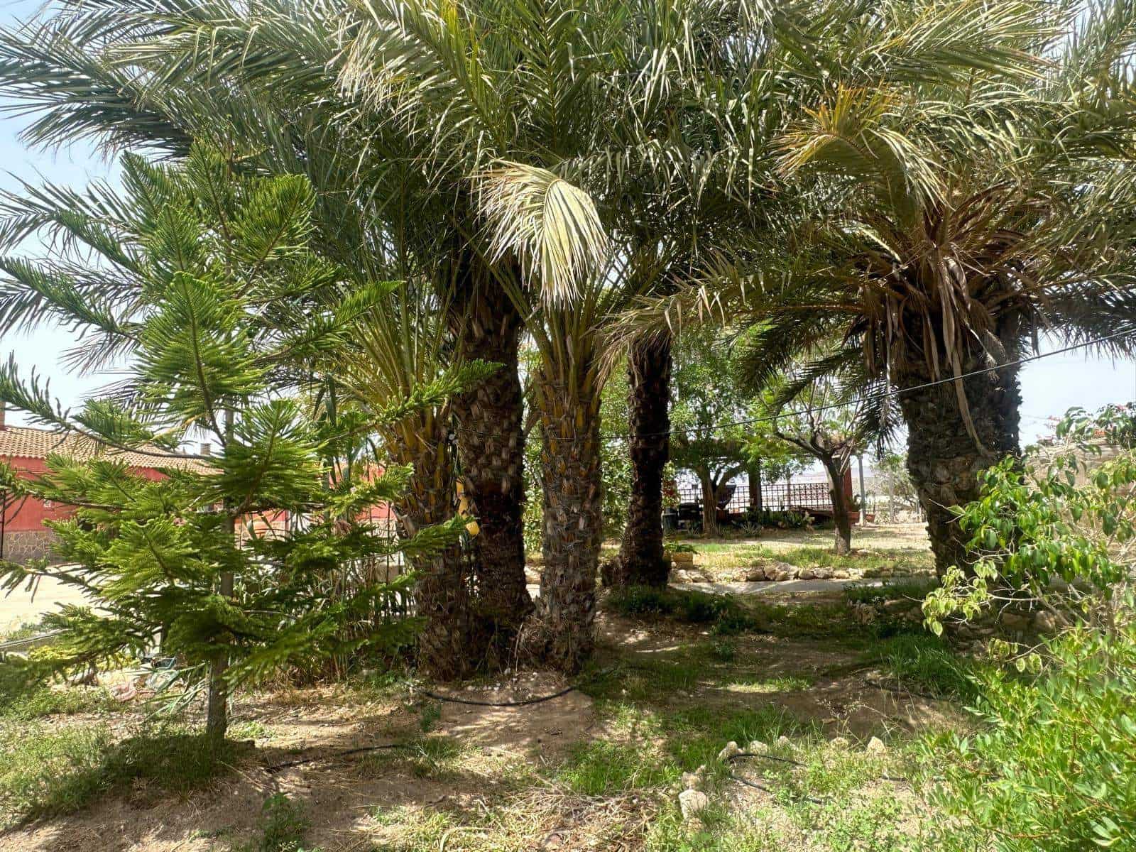 8 soveværelse Finca/Landehus til salg i Aguilas - € 950.000 (Ref: 8473990)