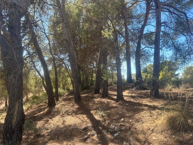 6 quarto Quinta/Casa Rural para venda em Aledo - 399 000 € (Ref: 8578395)