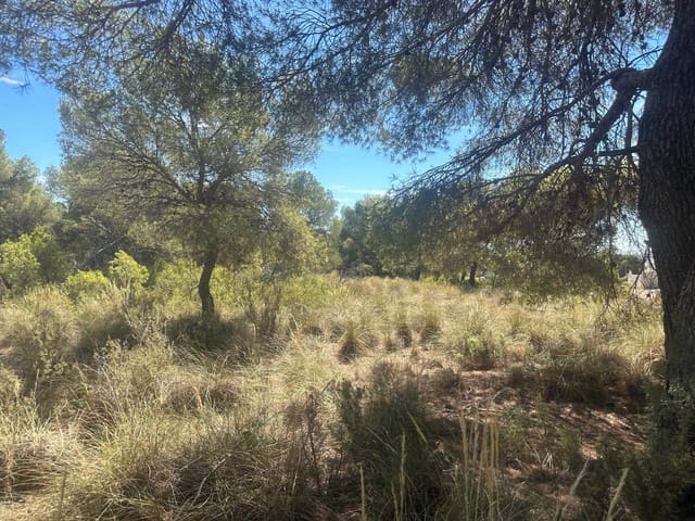 6 quarto Quinta/Casa Rural para venda em Aledo - 399 000 € (Ref: 8578395)