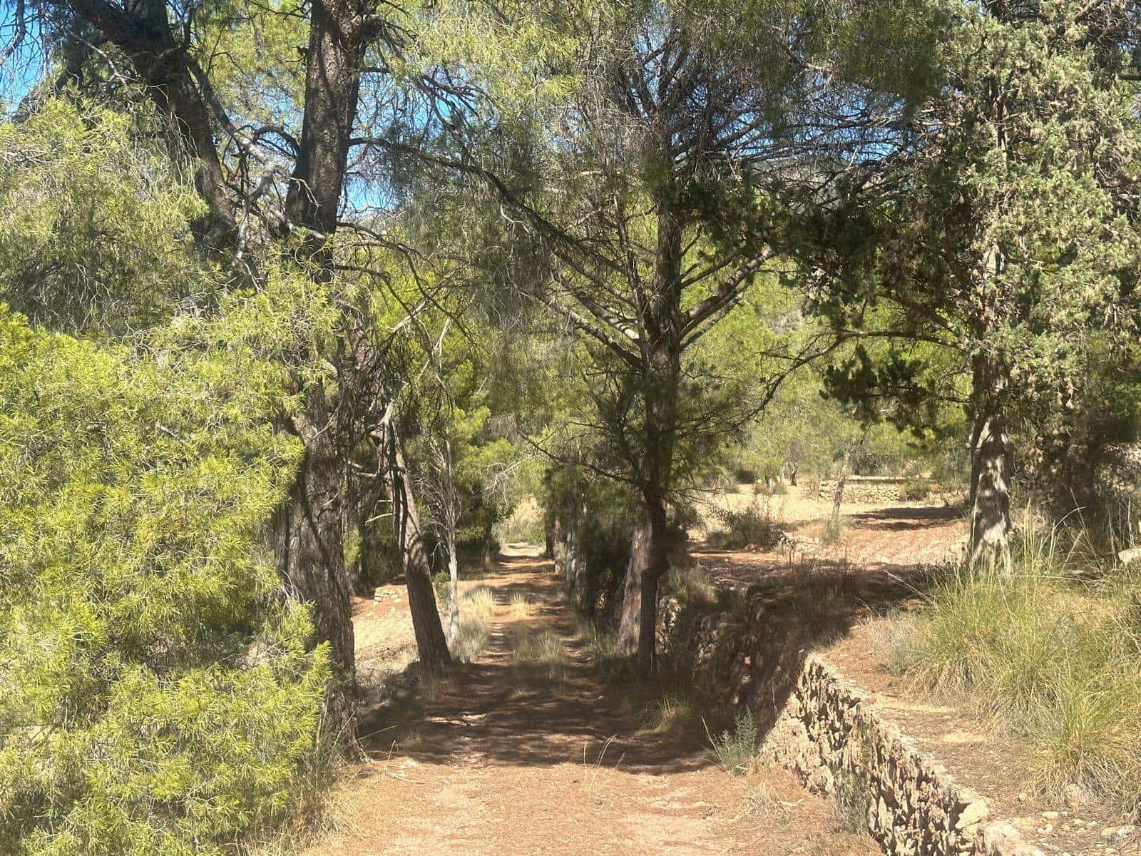 6 quarto Quinta/Casa Rural para venda em Aledo - 399 000 € (Ref: 8578395)