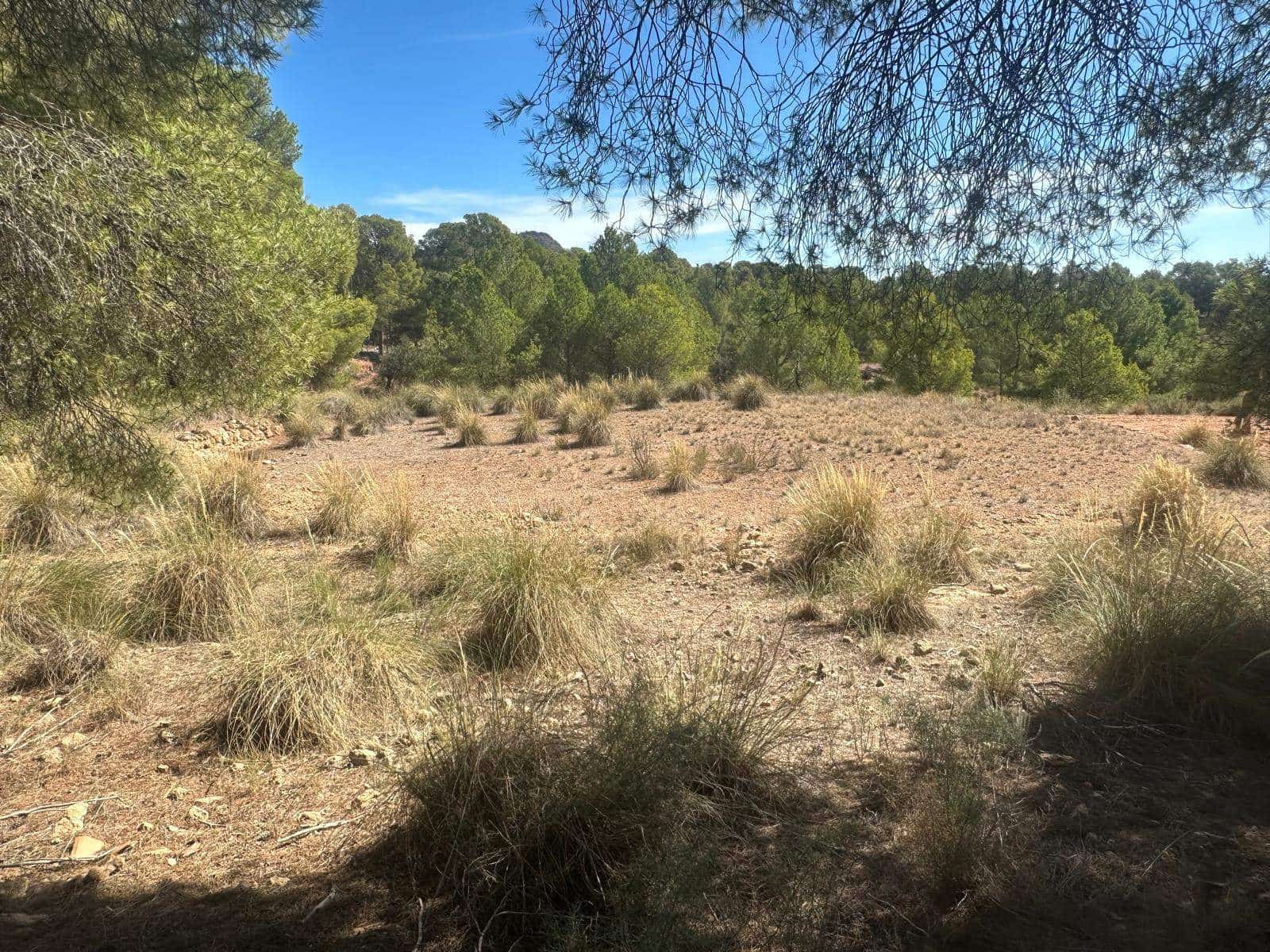 6 quarto Quinta/Casa Rural para venda em Aledo - 399 000 € (Ref: 8578395)