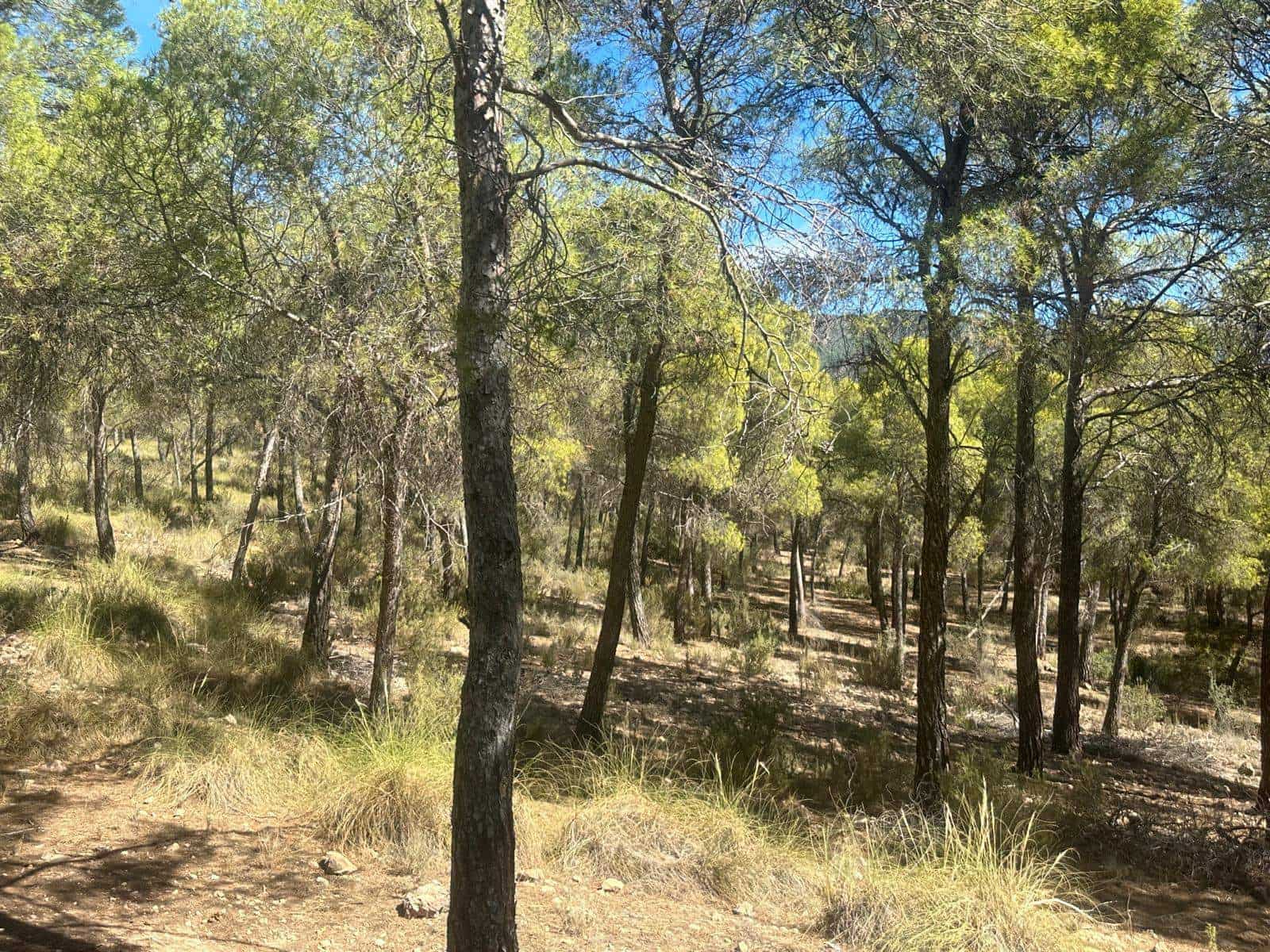 6 quarto Quinta/Casa Rural para venda em Aledo - 399 000 € (Ref: 8578395)