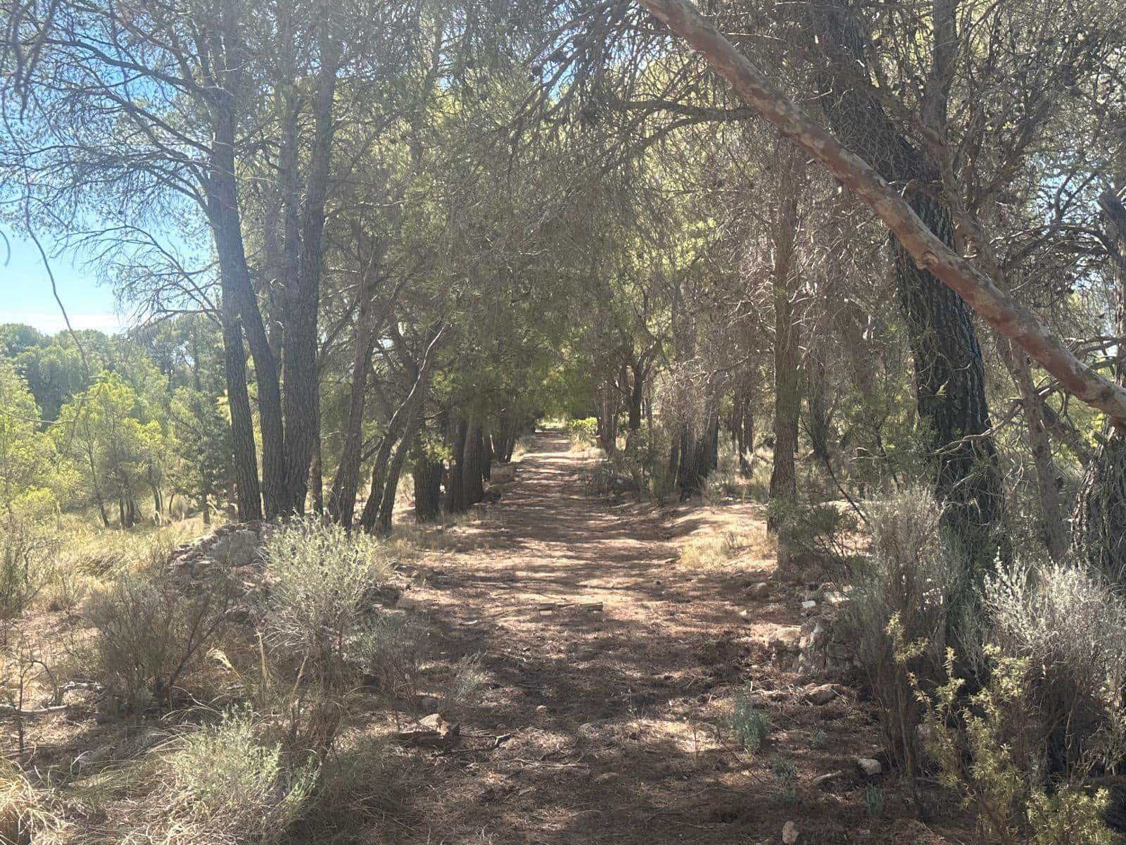 6 quarto Quinta/Casa Rural para venda em Aledo - 399 000 € (Ref: 8578395)