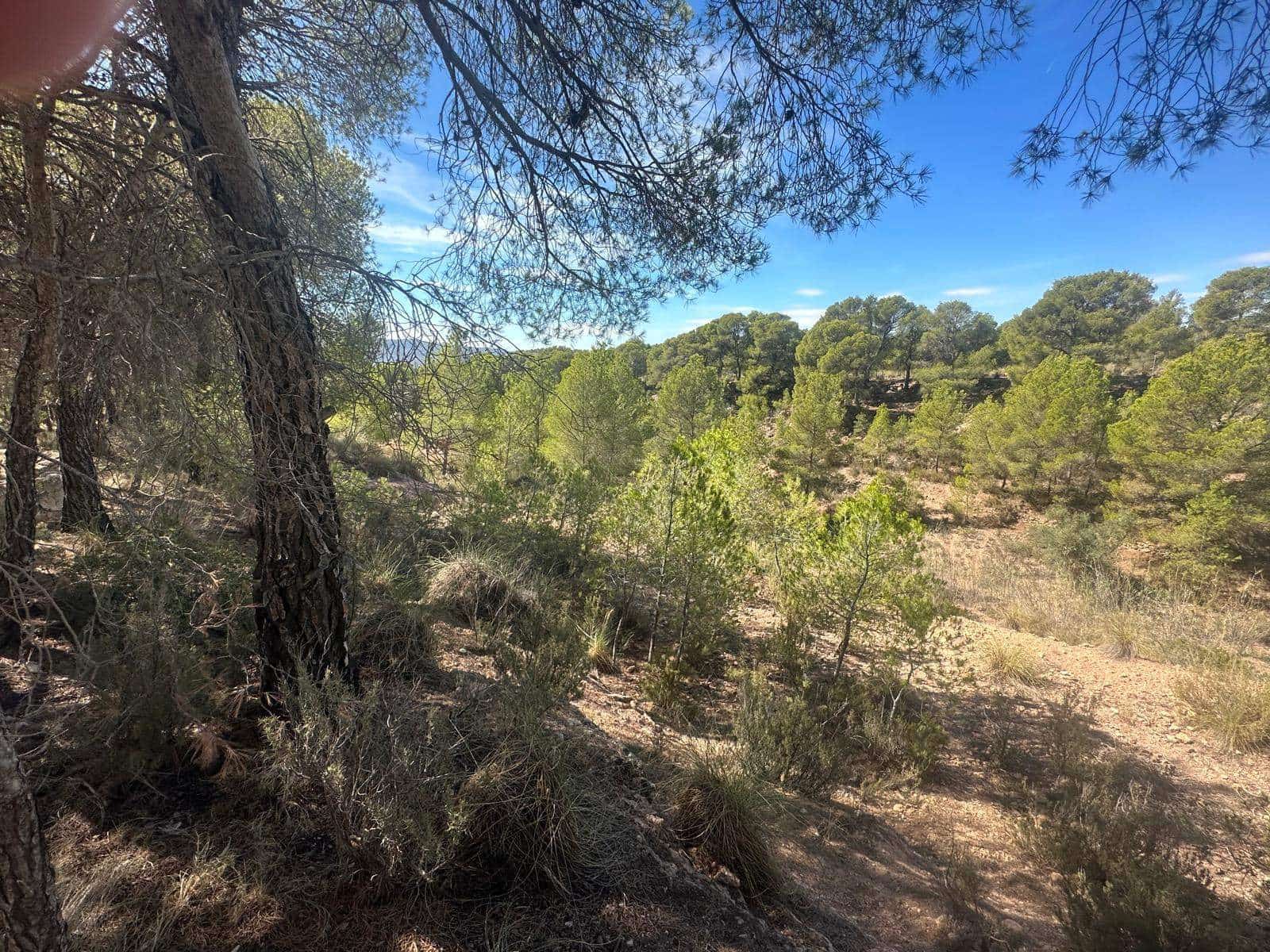 6 quarto Quinta/Casa Rural para venda em Aledo - 399 000 € (Ref: 8578395)