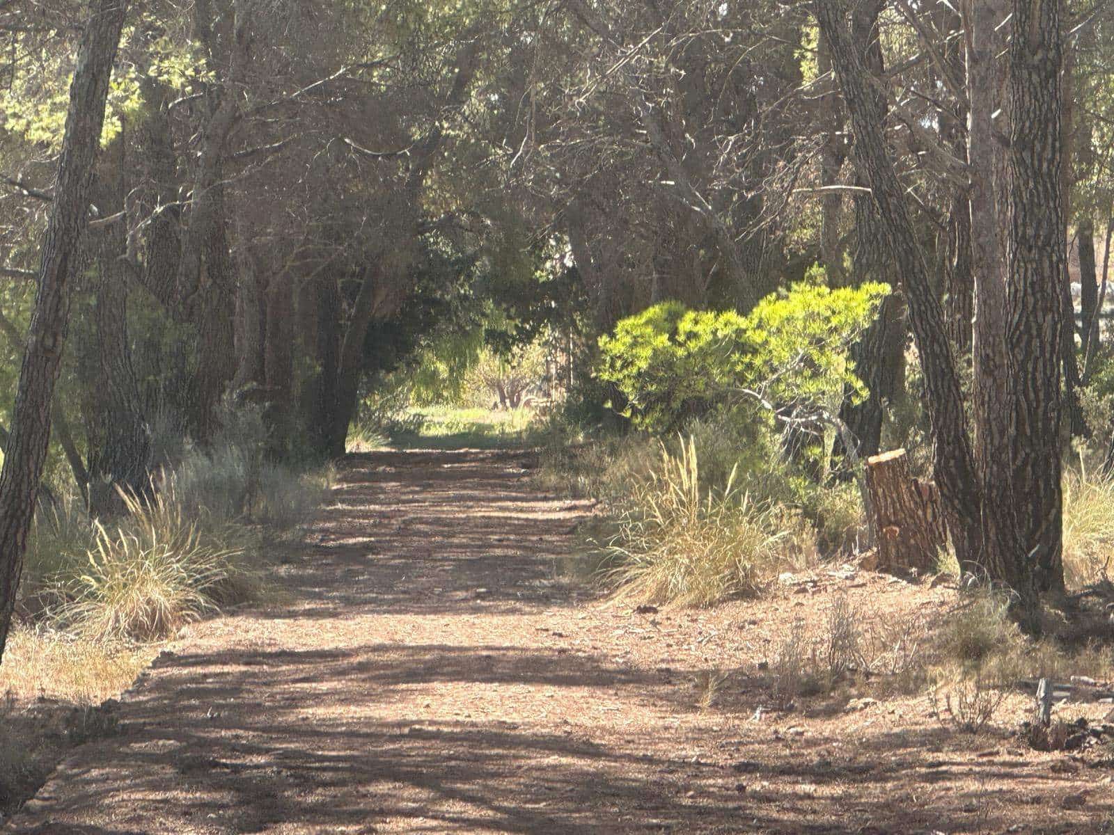6 quarto Quinta/Casa Rural para venda em Aledo - 399 000 € (Ref: 8578395)