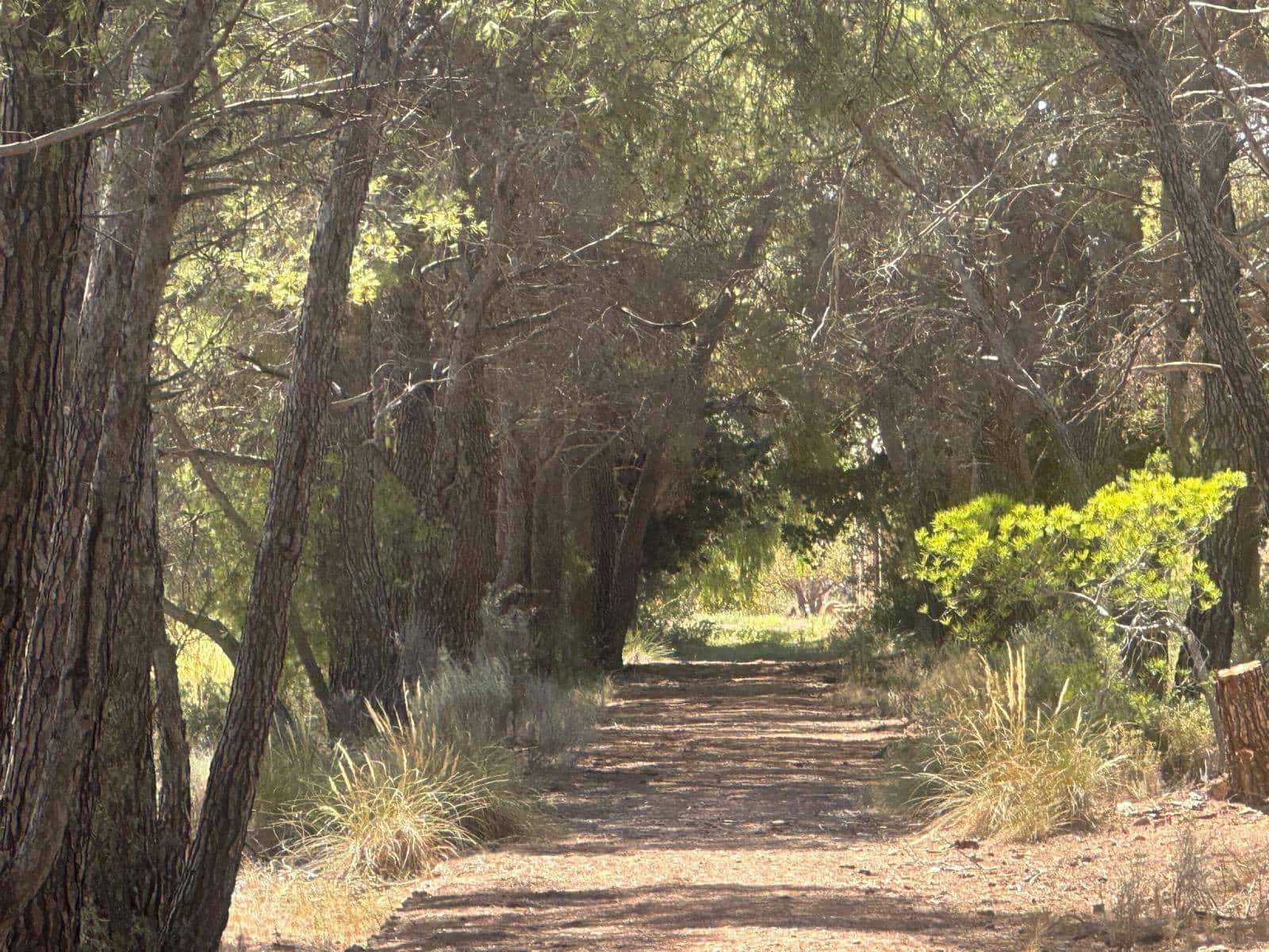 6 quarto Quinta/Casa Rural para venda em Aledo - 399 000 € (Ref: 8578395)