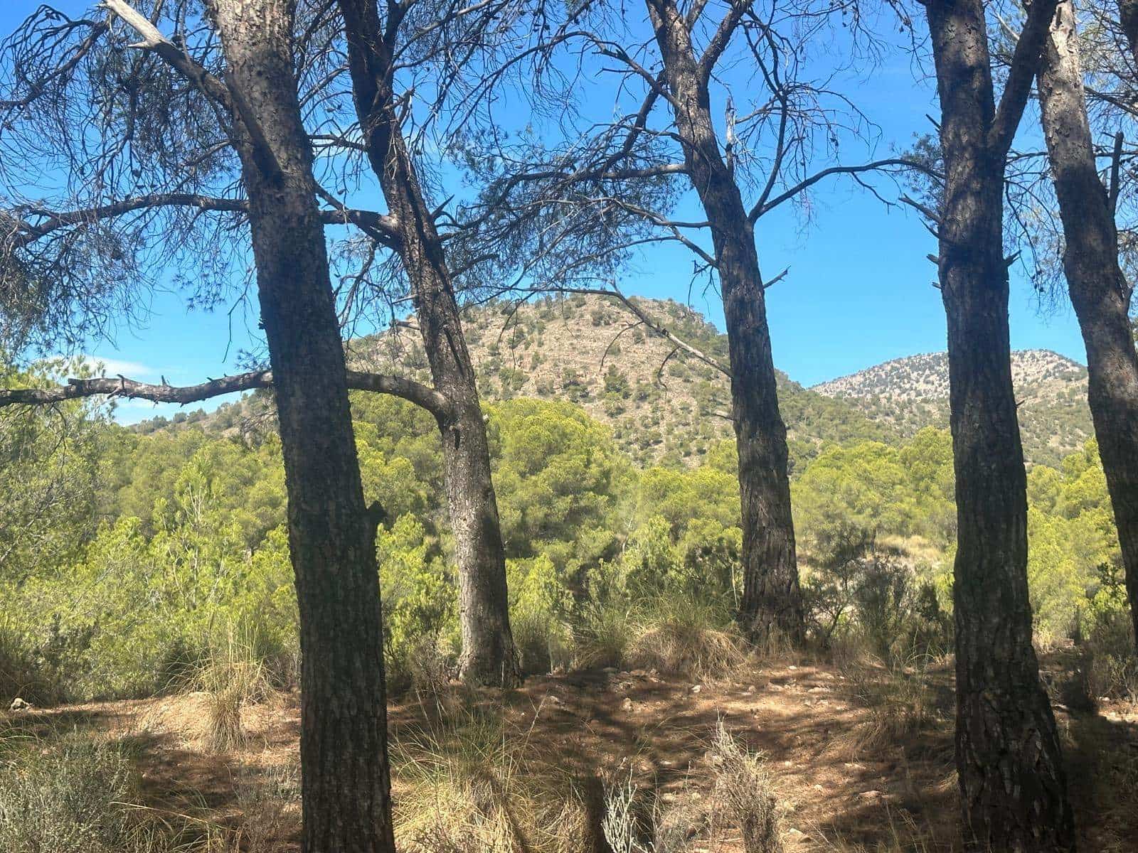 6 quarto Quinta/Casa Rural para venda em Aledo - 399 000 € (Ref: 8578395)