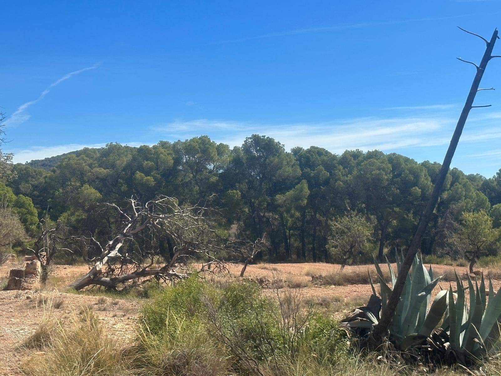 6 quarto Quinta/Casa Rural para venda em Aledo - 399 000 € (Ref: 8578395)