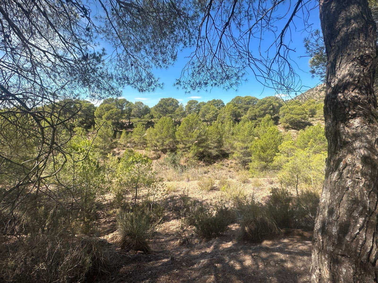 6 quarto Quinta/Casa Rural para venda em Aledo - 399 000 € (Ref: 8578395)