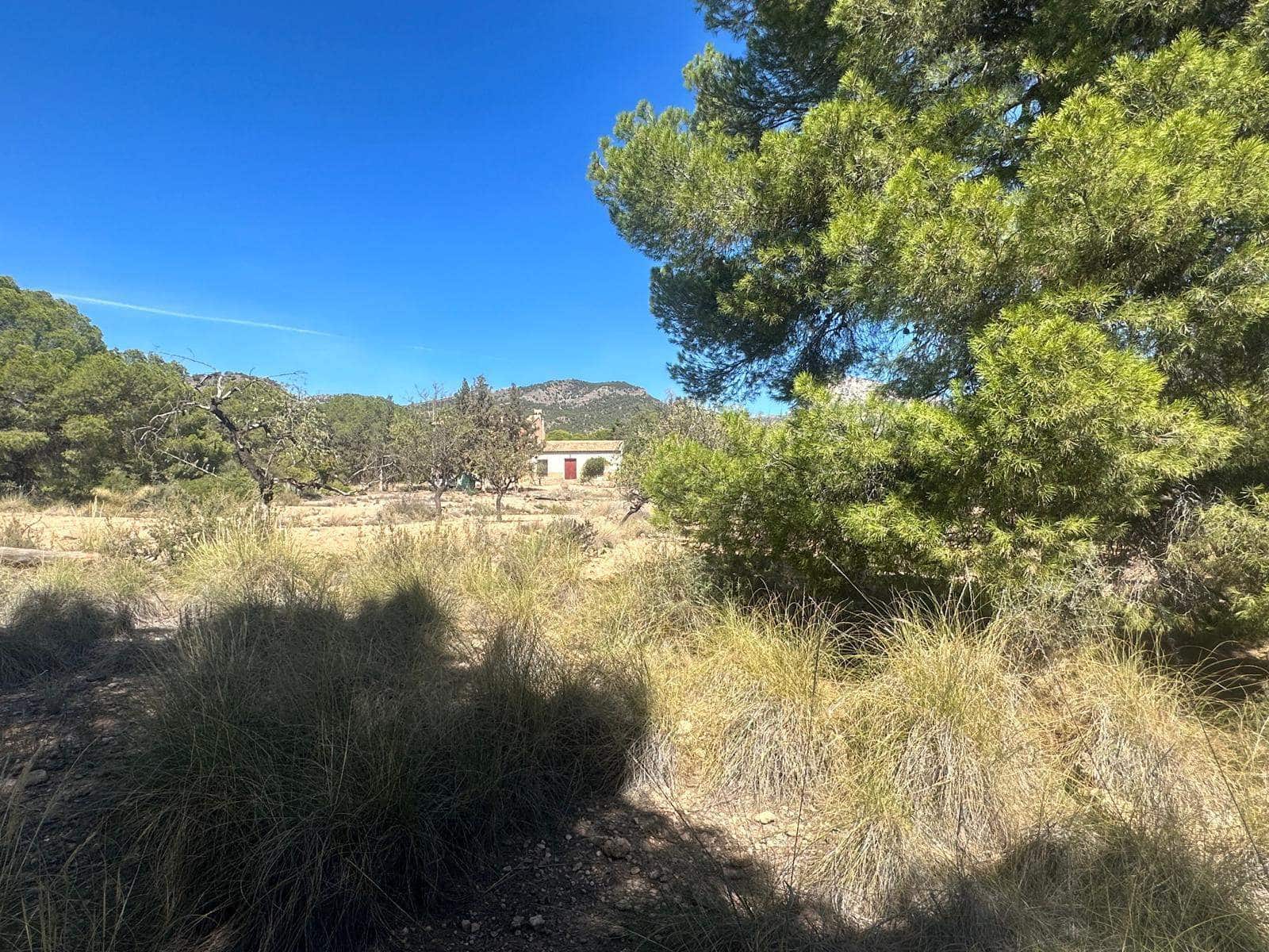 6 quarto Quinta/Casa Rural para venda em Aledo - 399 000 € (Ref: 8578395)