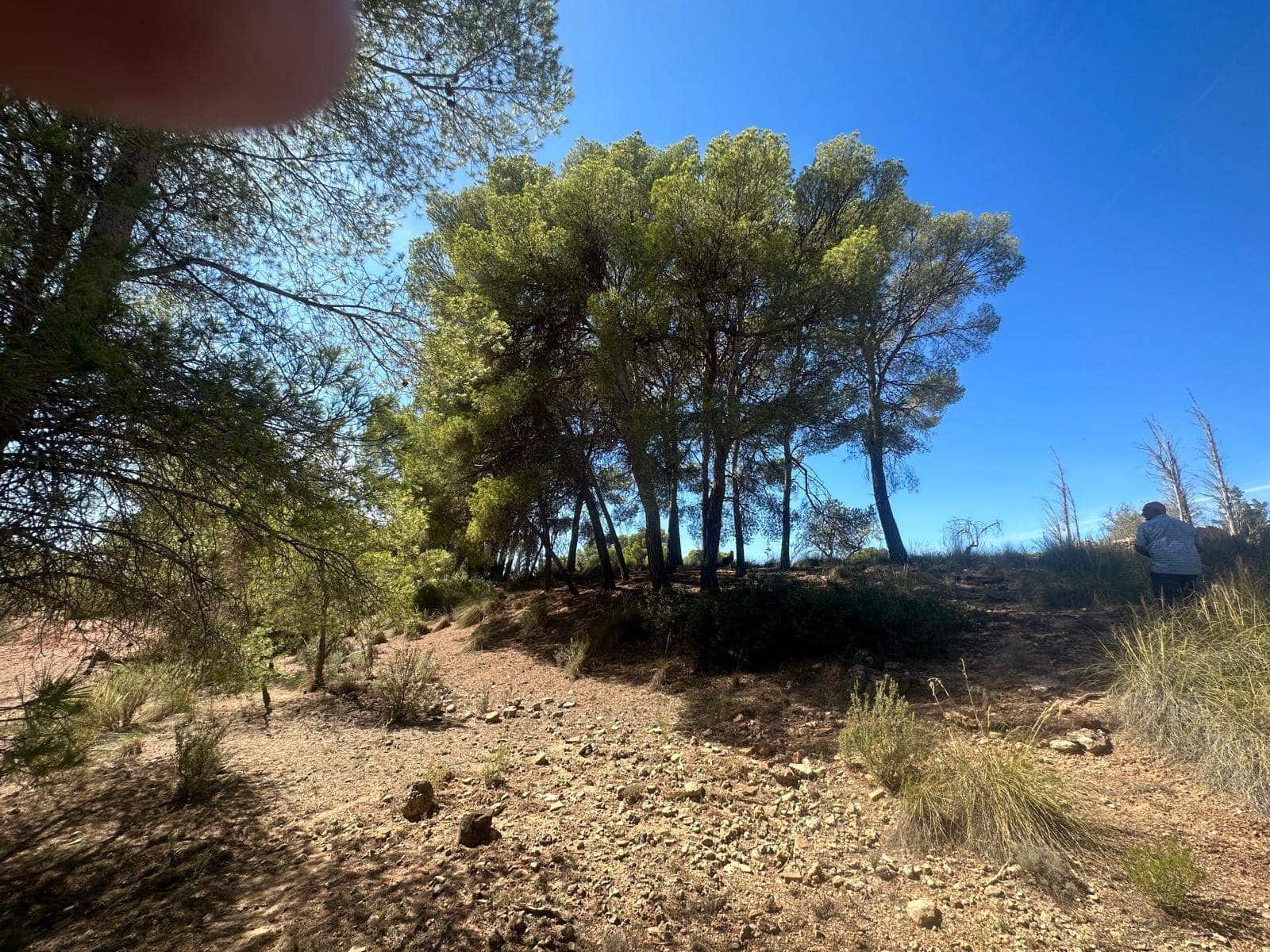 6 quarto Quinta/Casa Rural para venda em Aledo - 399 000 € (Ref: 8578395)