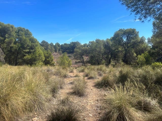 6 quarto Quinta/Casa Rural para venda em Aledo - 399 000 € (Ref: 8578395)