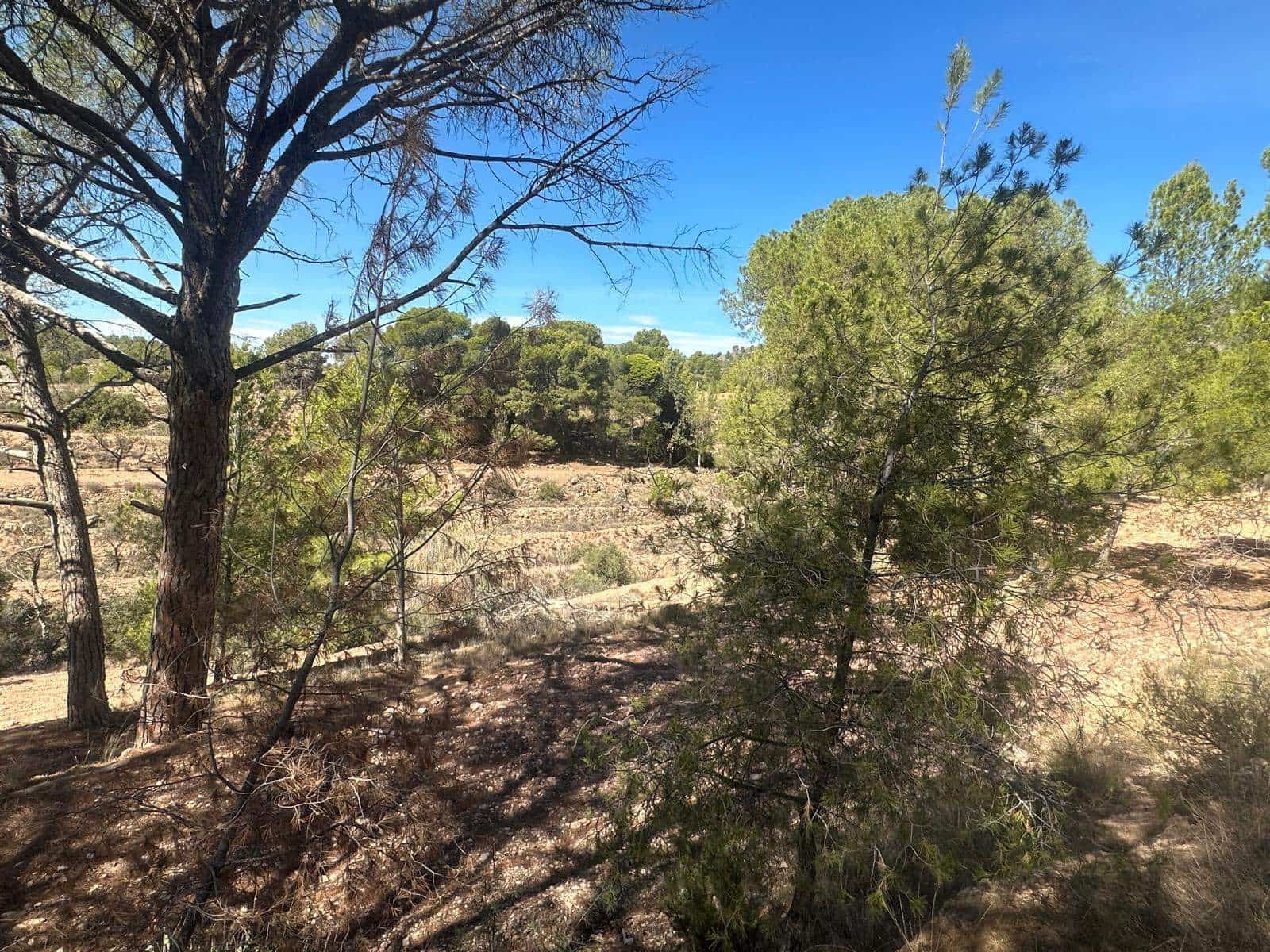 6 quarto Quinta/Casa Rural para venda em Aledo - 399 000 € (Ref: 8578395)