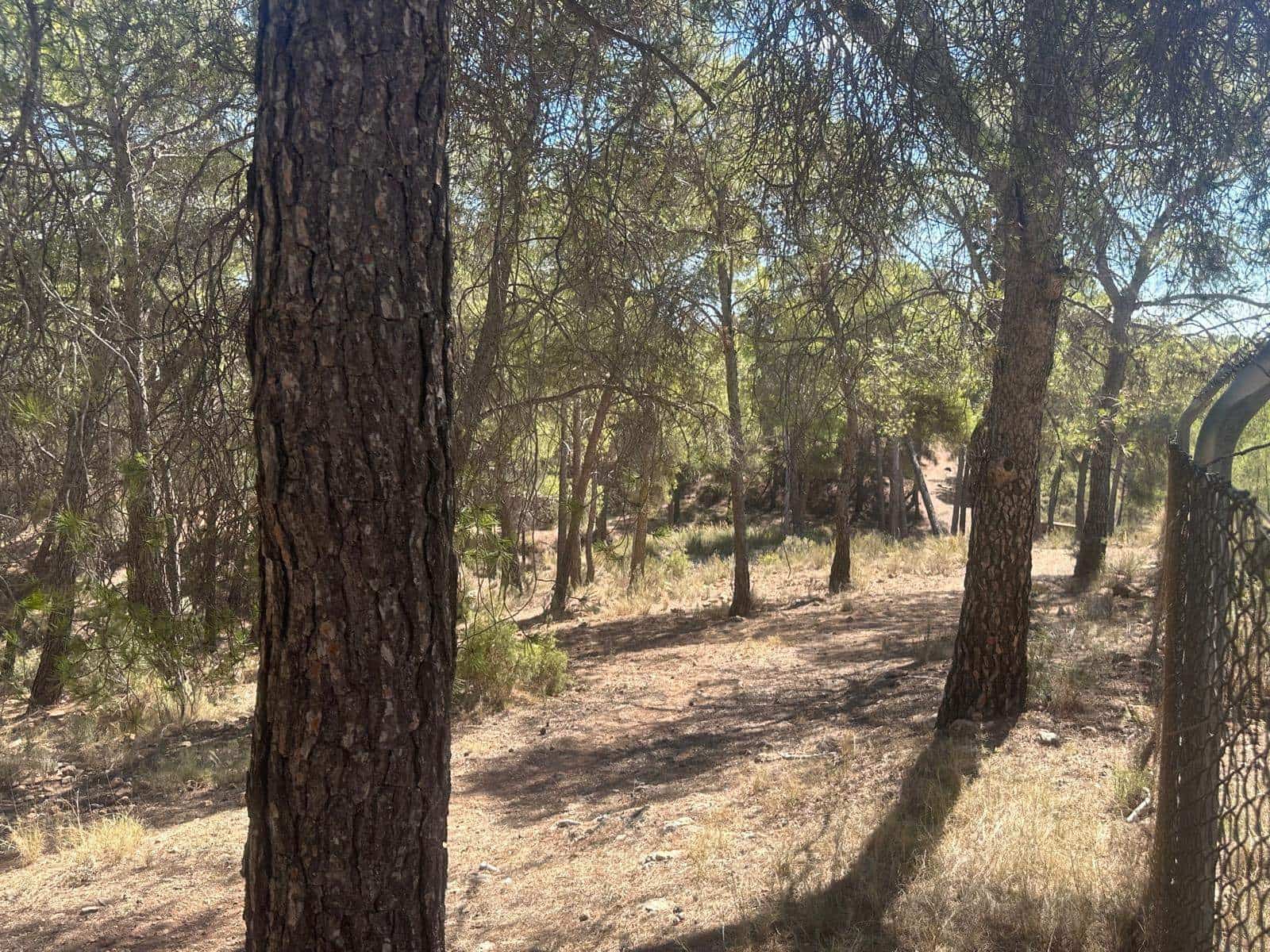 6 quarto Quinta/Casa Rural para venda em Aledo - 399 000 € (Ref: 8578395)