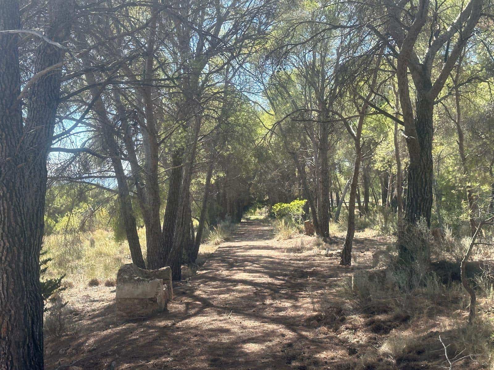 6 quarto Quinta/Casa Rural para venda em Aledo - 399 000 € (Ref: 8578395)