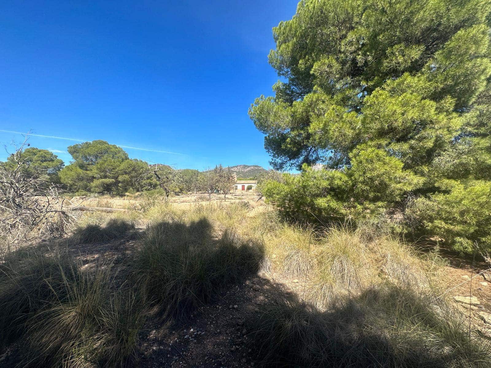 6 quarto Quinta/Casa Rural para venda em Aledo - 399 000 € (Ref: 8578395)