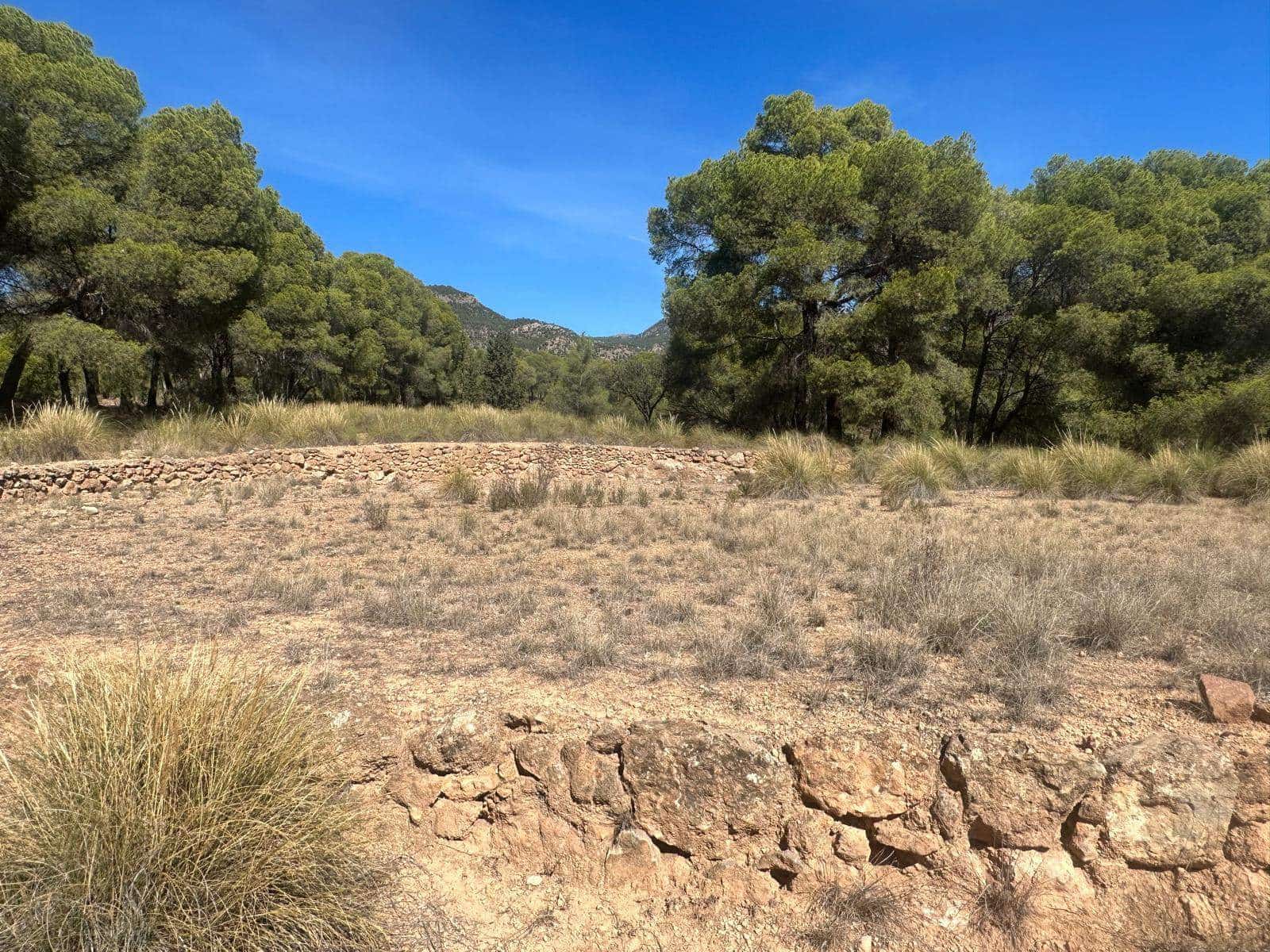 6 quarto Quinta/Casa Rural para venda em Aledo - 399 000 € (Ref: 8578395)