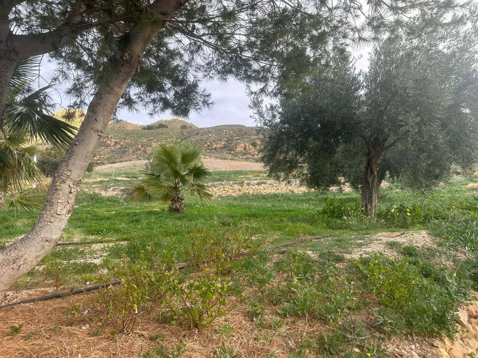 3 sovrum Finca/Hus på landet till salu i Mazarron - 375 000 € (Ref: 8755393)