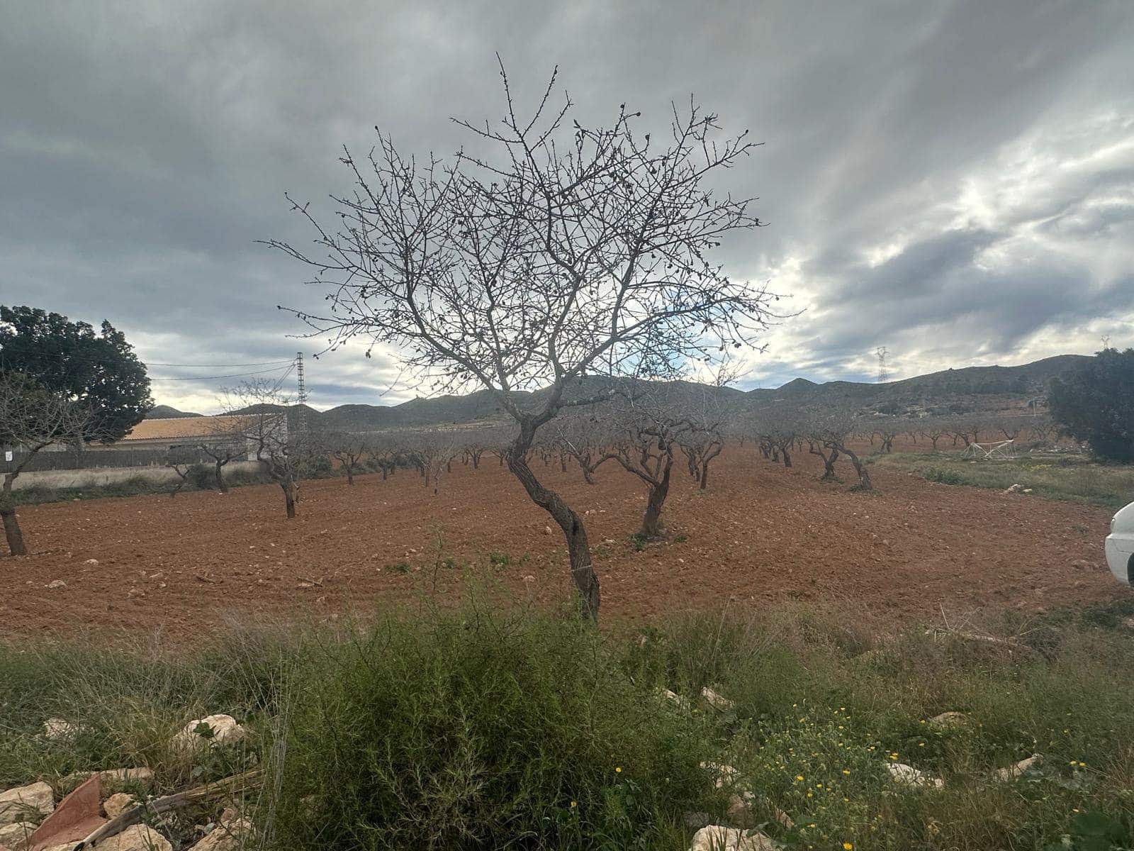 3 sypialnia Finka/Dom wiejski na sprzedaż w Las Palas - 150 000 € (Ref: 8773335)