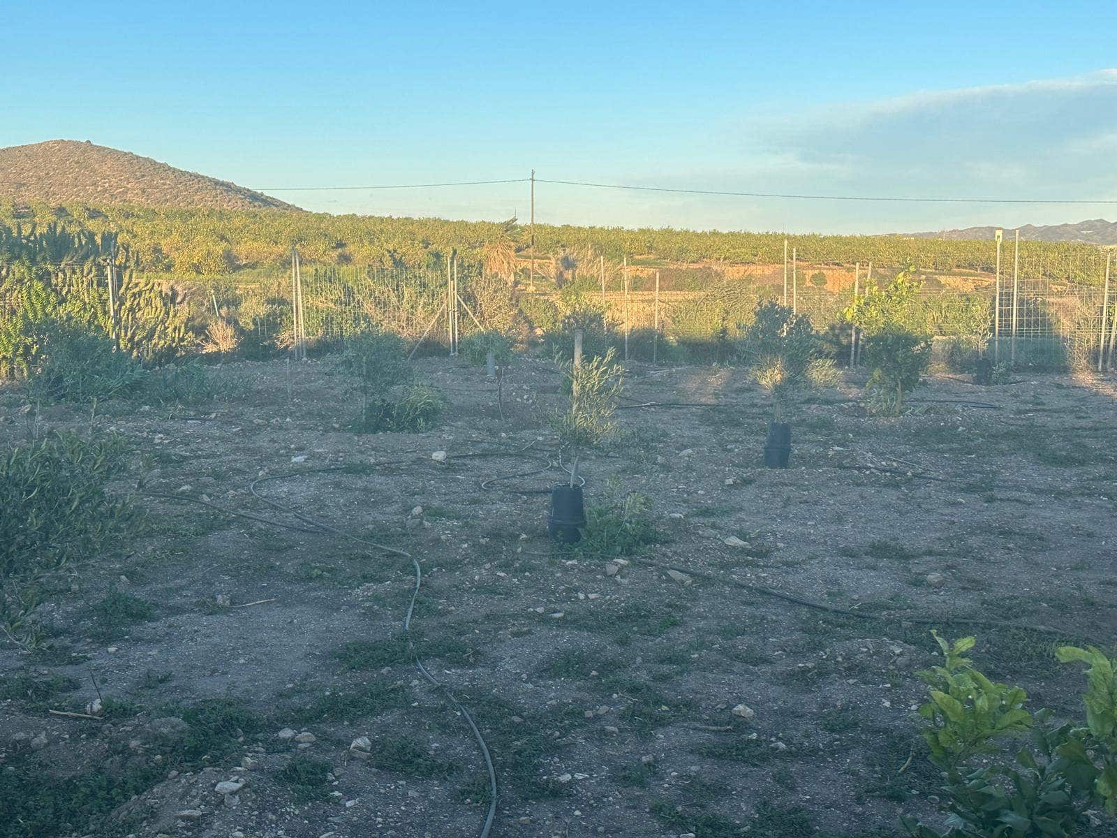 3 soveværelse Finca/Landehus til salg i La Majada - € 309.900 (Ref: 8773337)