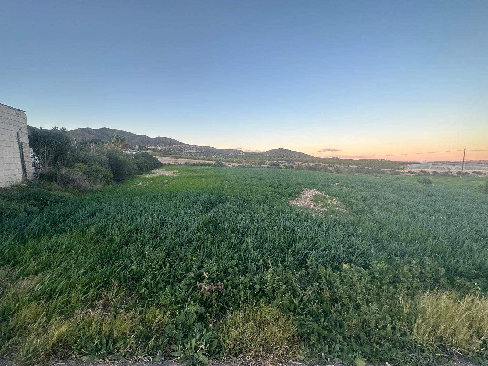 3 soveværelse Finca/Landehus til salg i La Majada - € 309.900 (Ref: 8773337)