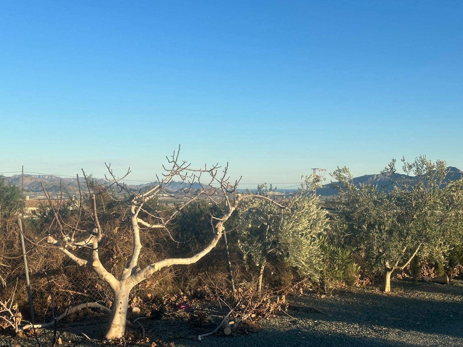 3 soveværelse Finca/Landehus til salg i La Majada - € 309.900 (Ref: 8773337)