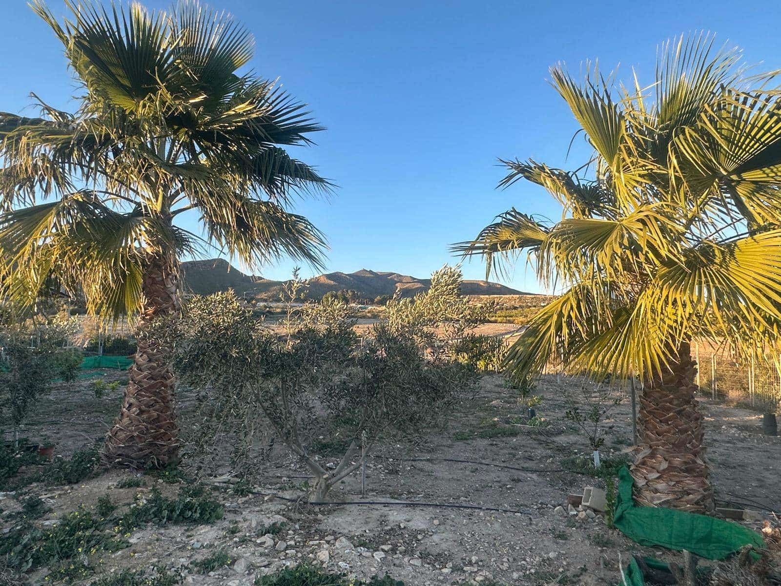 3 soveværelse Finca/Landehus til salg i La Majada - € 309.900 (Ref: 8773337)