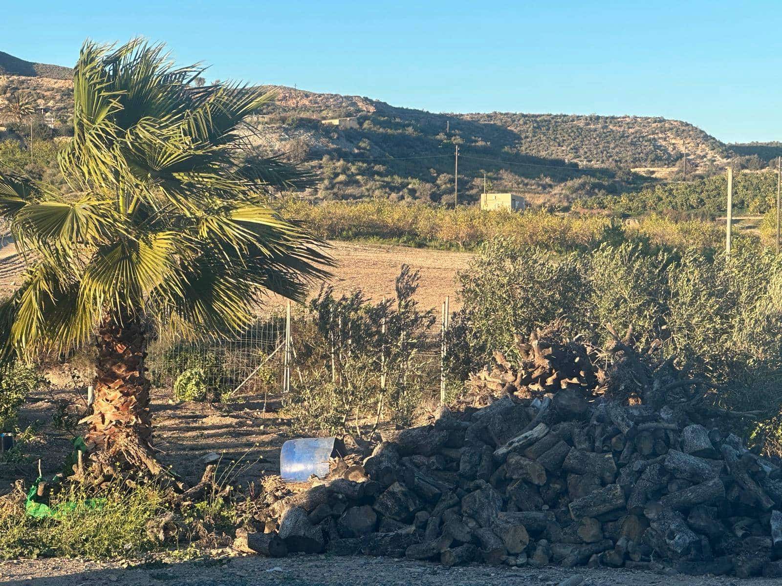 3 soveværelse Finca/Landehus til salg i La Majada - € 309.900 (Ref: 8773337)