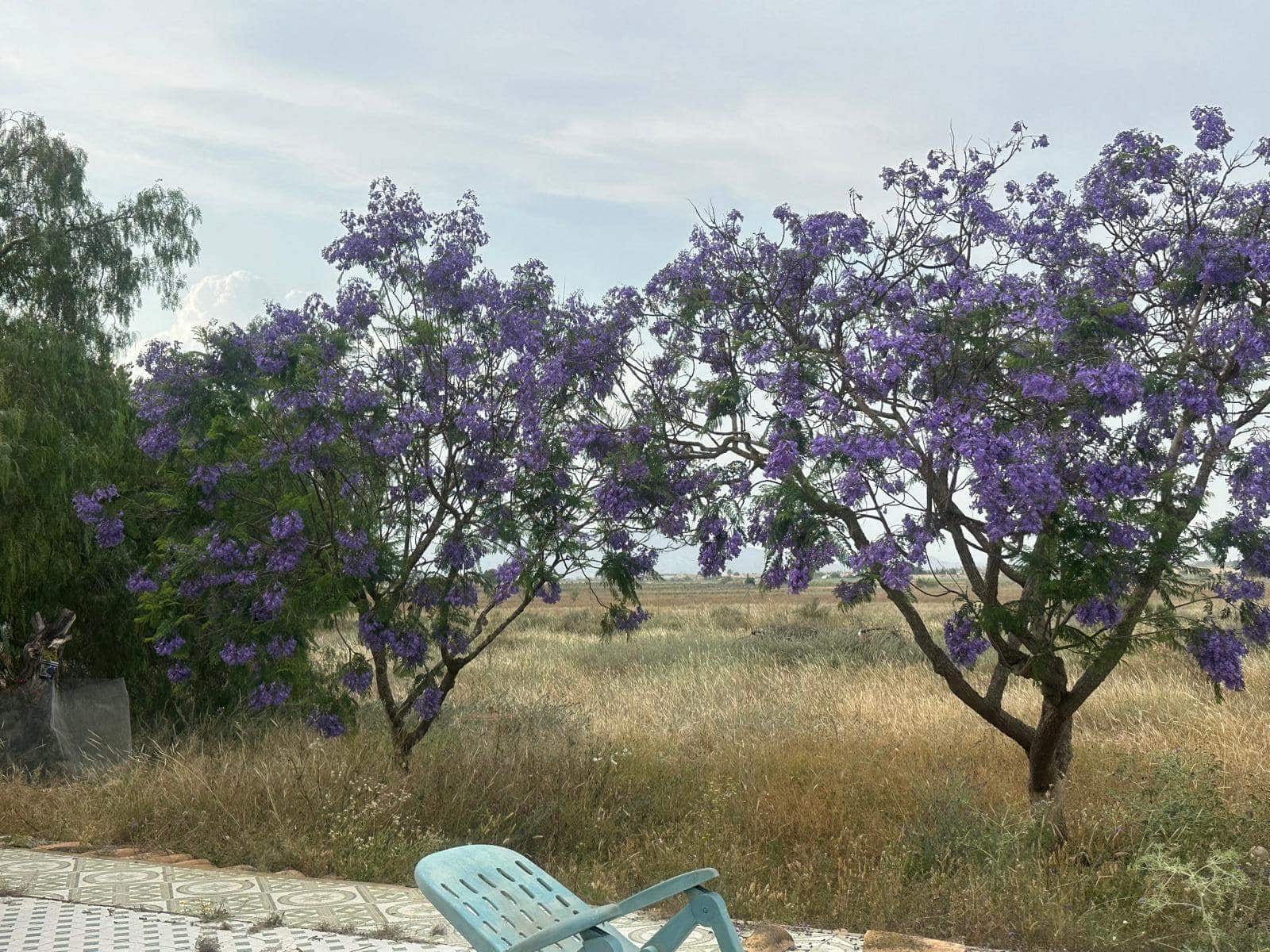 3 soveværelse Finca/Landehus til salg i Alhama de Murcia - € 164.900 (Ref: 9030961)