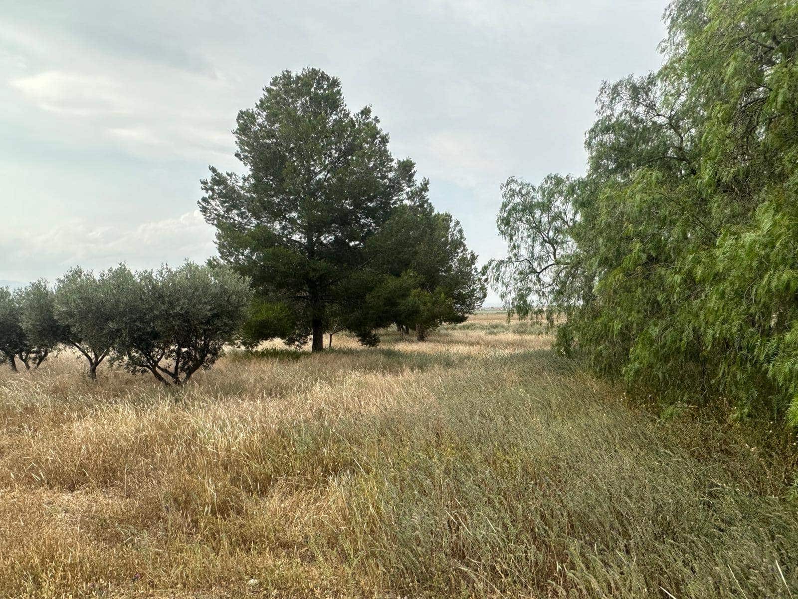 3 soveværelse Finca/Landehus til salg i Alhama de Murcia - € 164.900 (Ref: 9030961)