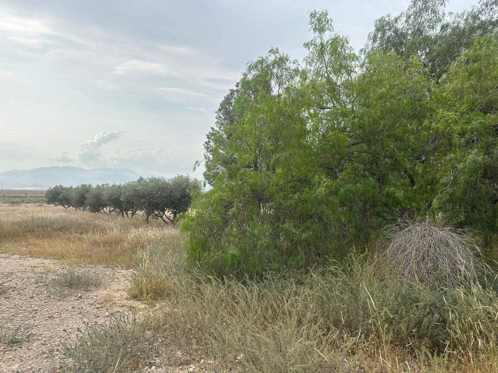 3 soveværelse Finca/Landehus til salg i Alhama de Murcia - € 164.900 (Ref: 9030961)