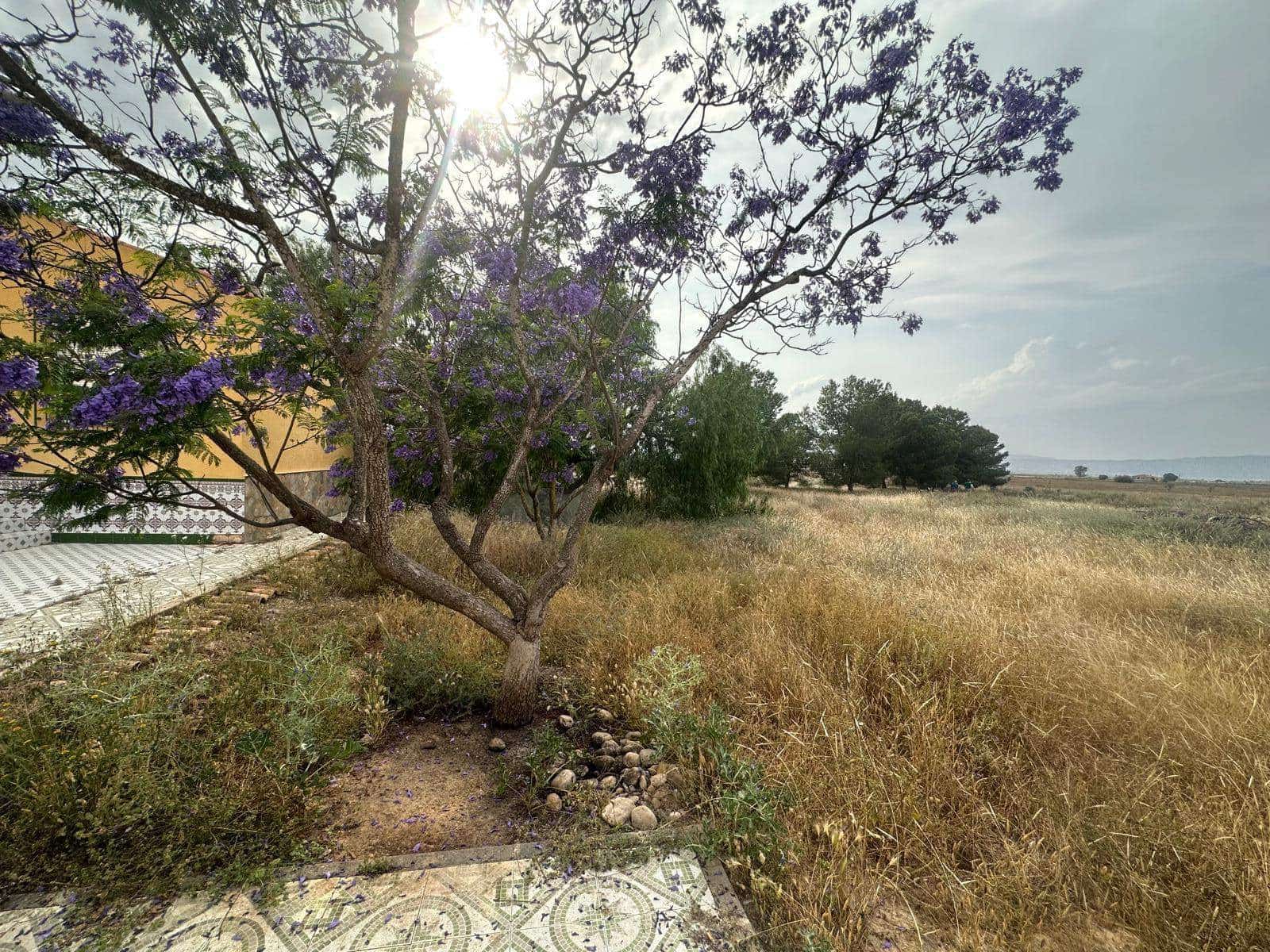 3 soveværelse Finca/Landehus til salg i Alhama de Murcia - € 164.900 (Ref: 9030961)